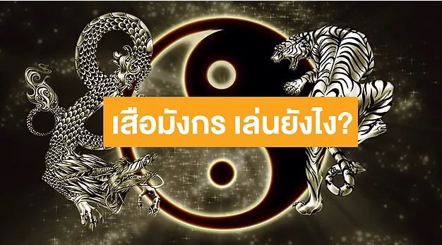 เสือมังกร เล่นยังไง