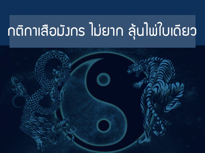 กติกาเสือมังกร